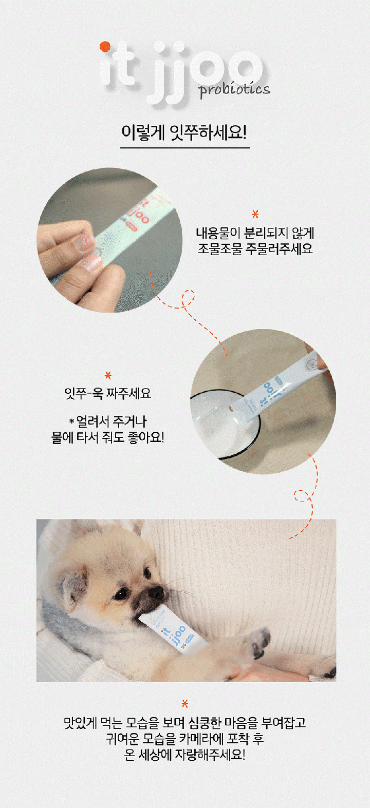 it 잇쭈 프로 도그 면역 특대용량 (8개입*8개)-상품이미지-7