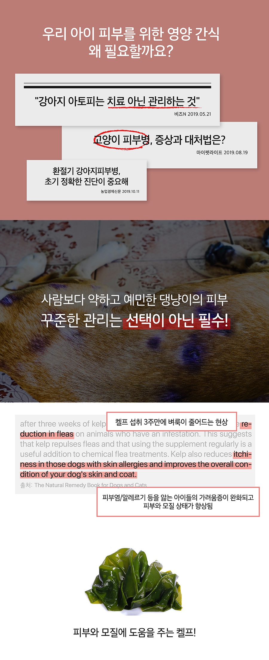 it 잇쭈 피부 대용량 (8개입*4개)-상품이미지-3